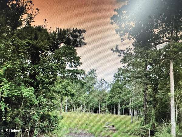 4.8 Acres of Residential Land for Sale in Pass Christian, Mississippi