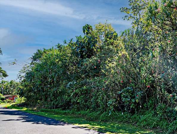 0.21 Acres of Residential Land for Sale in Pahoa, Hawaii