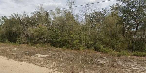 0.22 Acres of Residential Land for Sale in Interlachen, Florida