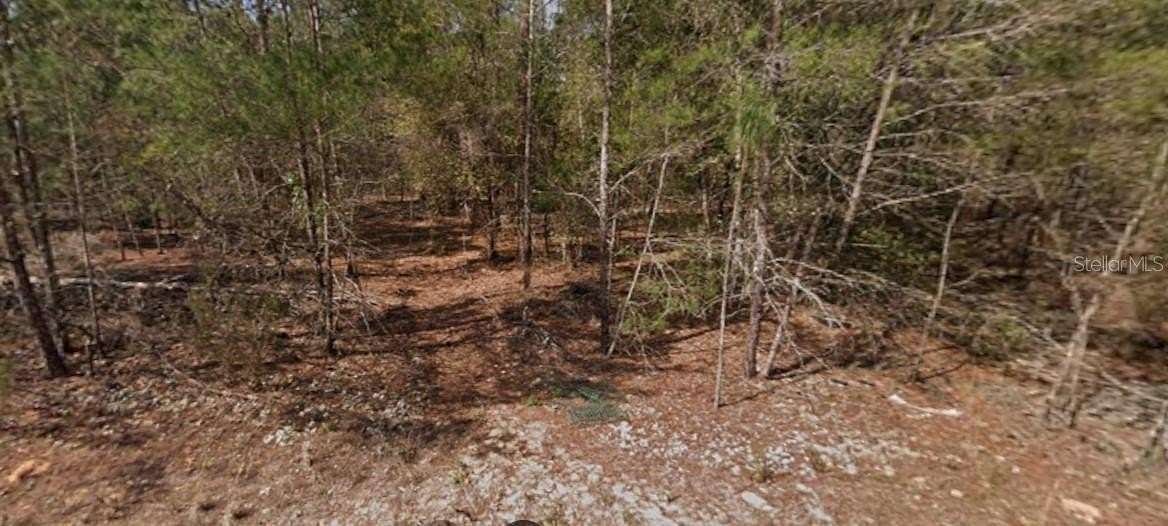 0.13 Acres of Residential Land for Sale in Interlachen, Florida