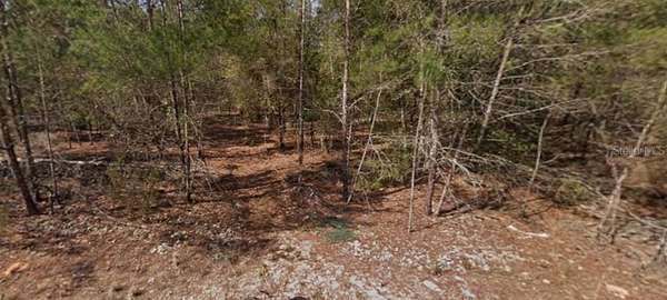 0.13 Acres of Residential Land for Sale in Interlachen, Florida