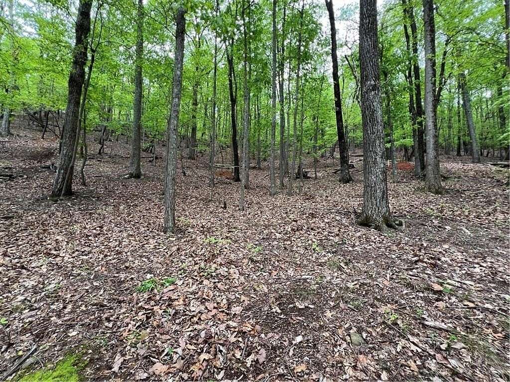 0.8 Acres of Residential Land for Sale in Big Canoe, Georgia