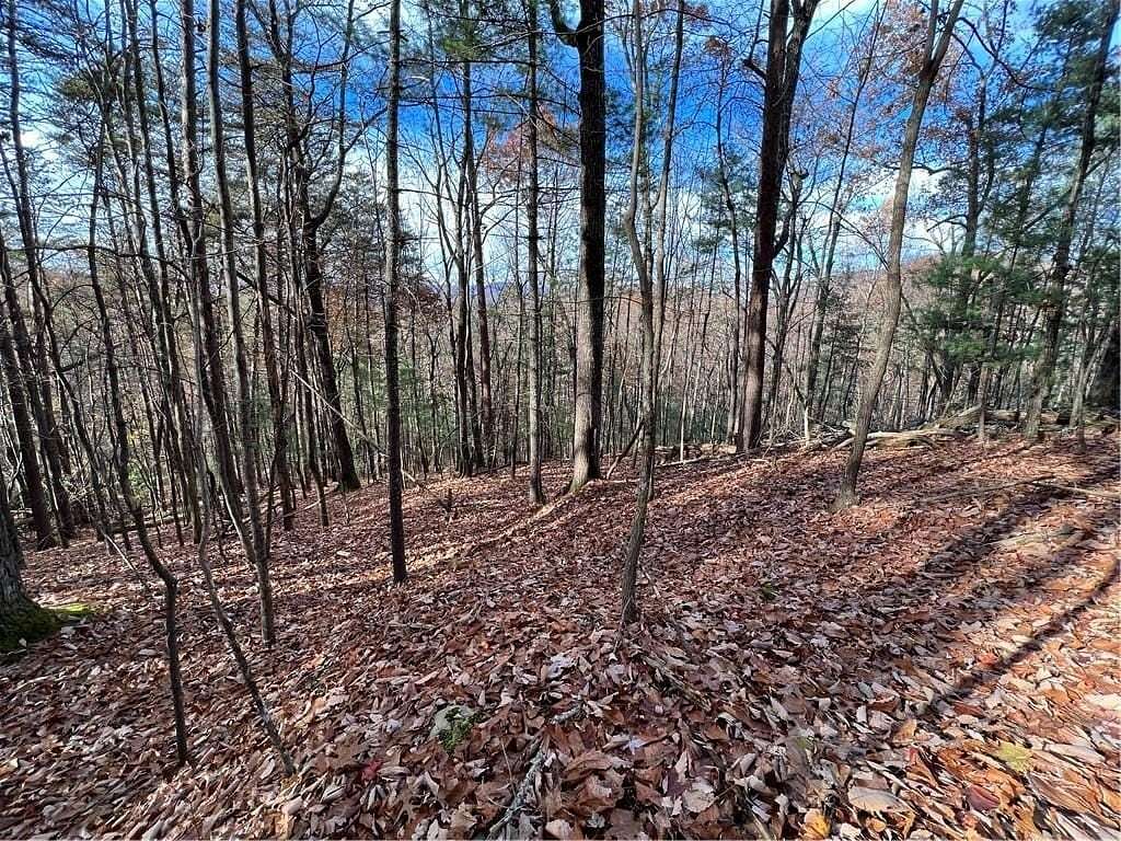 0.63 Acres of Land for Sale in Ellijay, Georgia