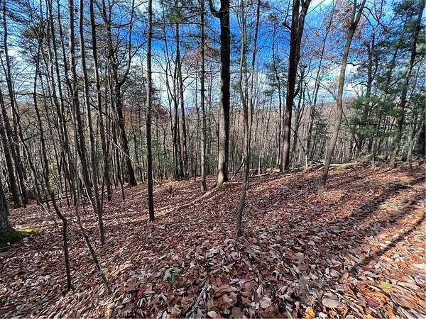 0.63 Acres of Land for Sale in Ellijay, Georgia