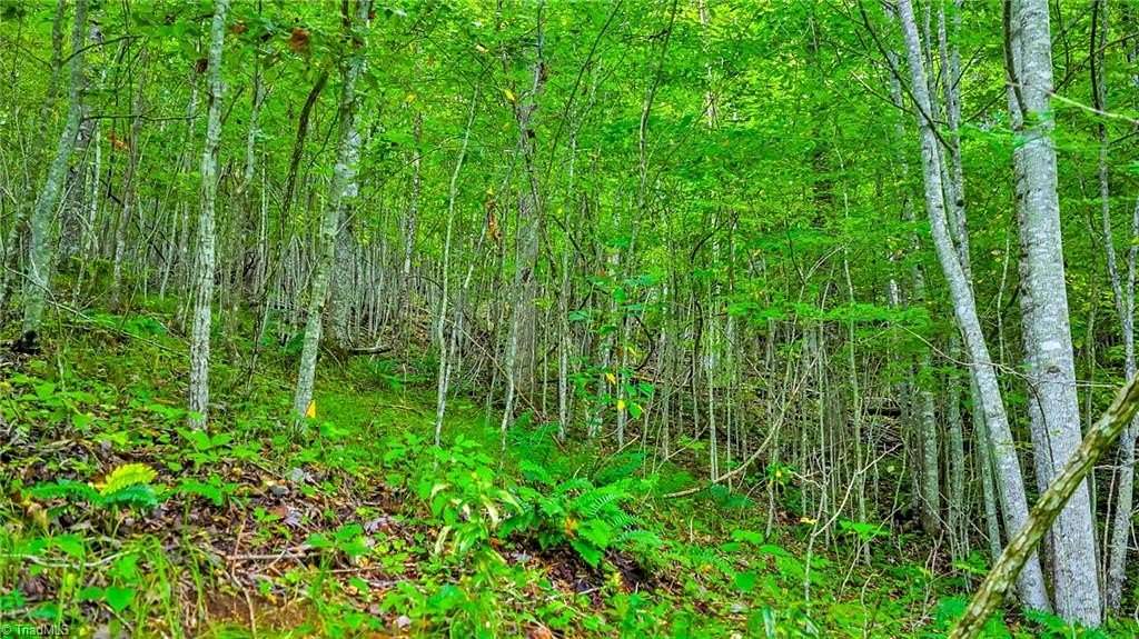 7.46 Acres of Land for Sale in Lansing, North Carolina