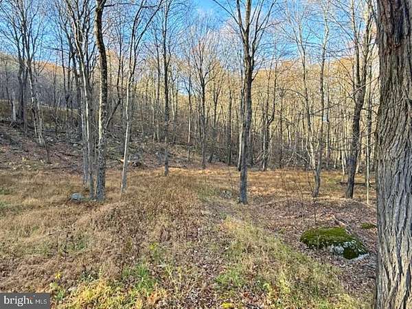 2.5 Acres of Land for Sale in Maysville, West Virginia