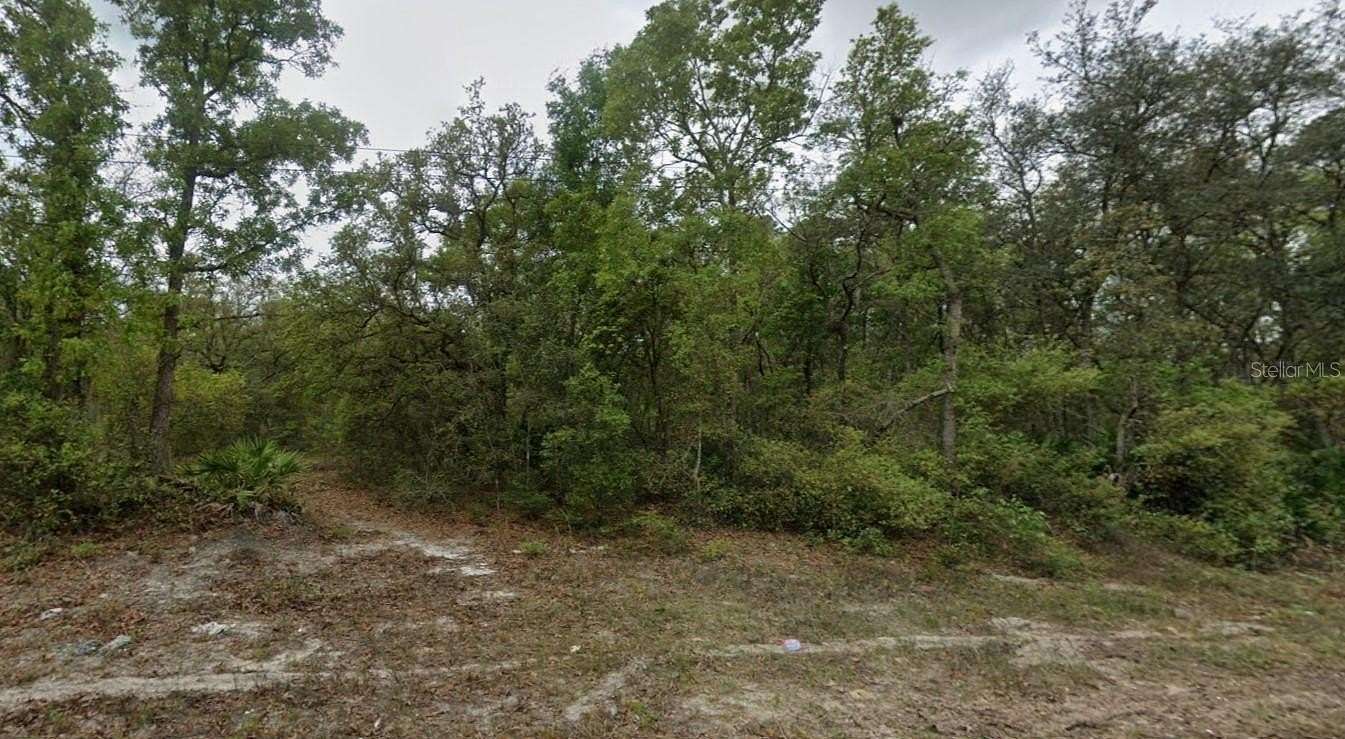 0.23 Acres of Residential Land for Sale in Satsuma, Florida