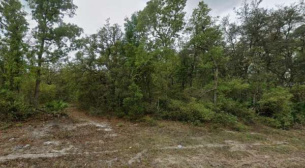 0.23 Acres of Residential Land for Sale in Satsuma, Florida