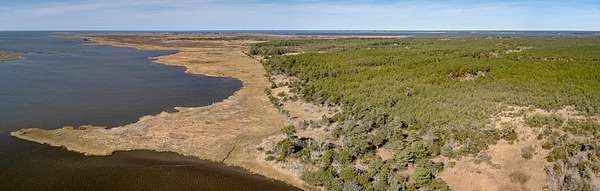 50 Acres of Recreational Land for Sale in Sanford, Virginia