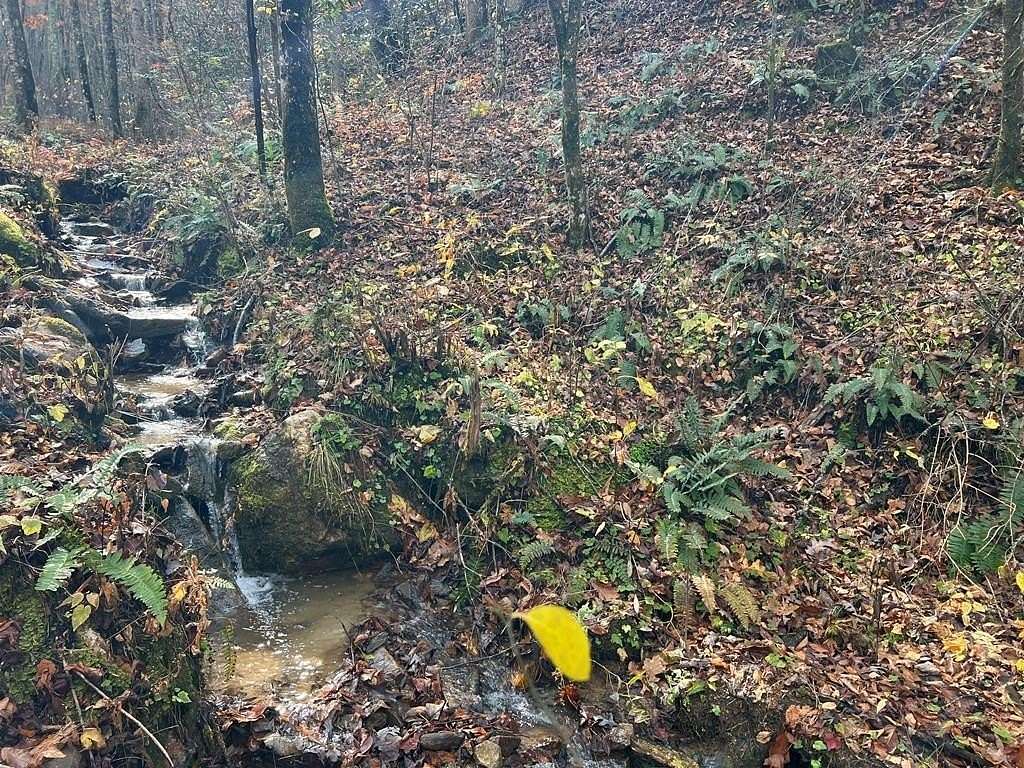 5 Acres of Land for Sale in Bryson City, North Carolina