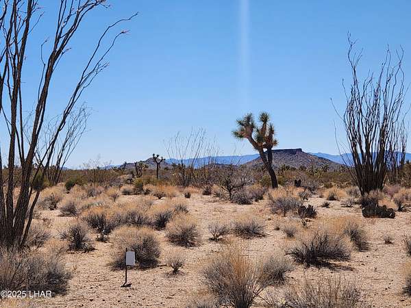 1.1 Acres of Residential Land for Sale in Yucca, Arizona