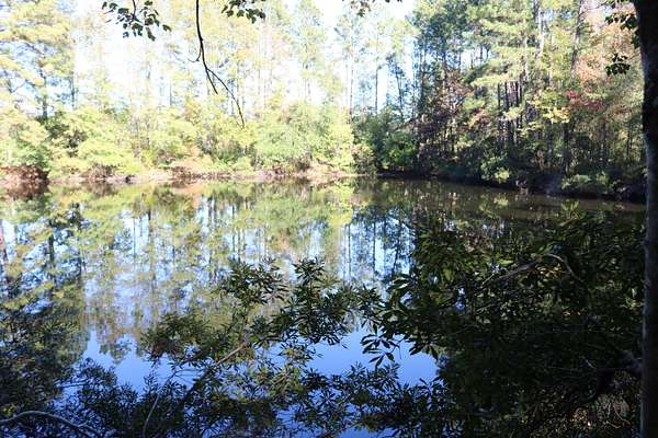 28 Acres of Land for Sale in Hemphill, Texas