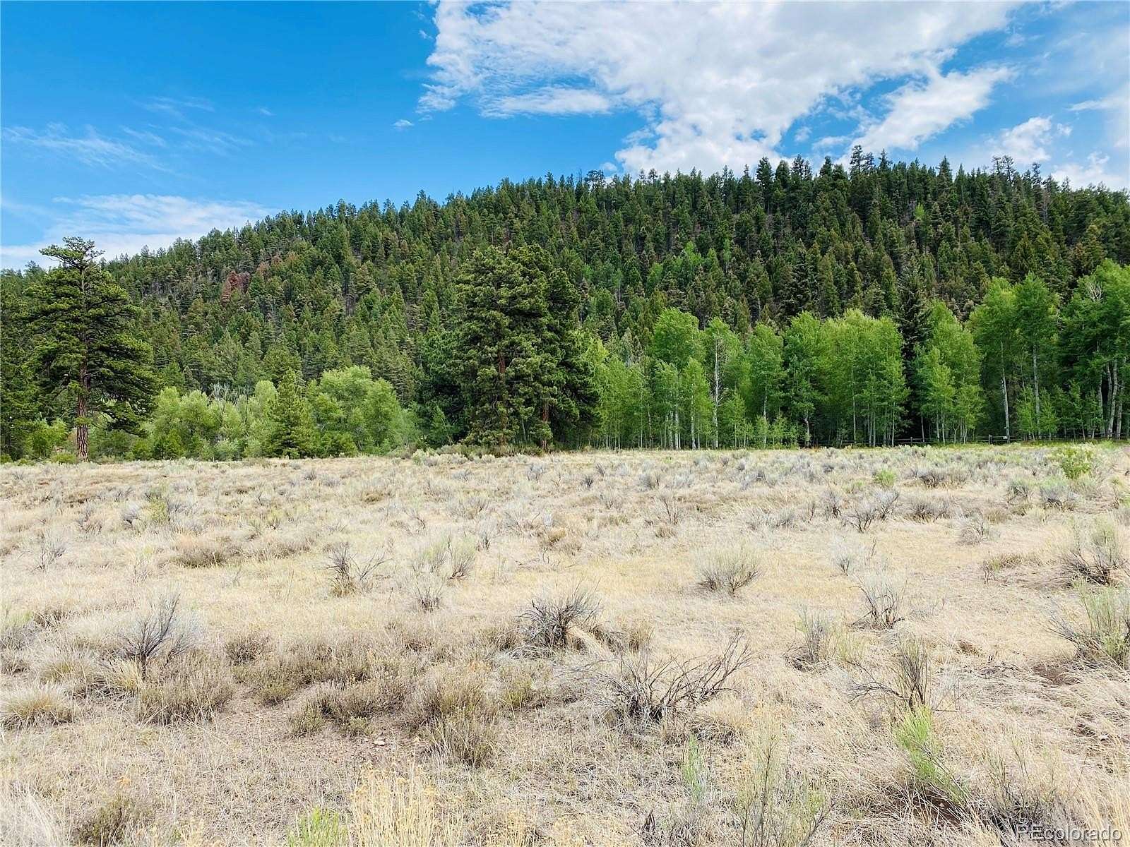 2 Acres of Residential Land for Sale in Antonito, Colorado