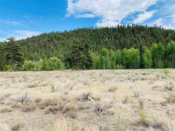 2 Acres of Residential Land for Sale in Antonito, Colorado