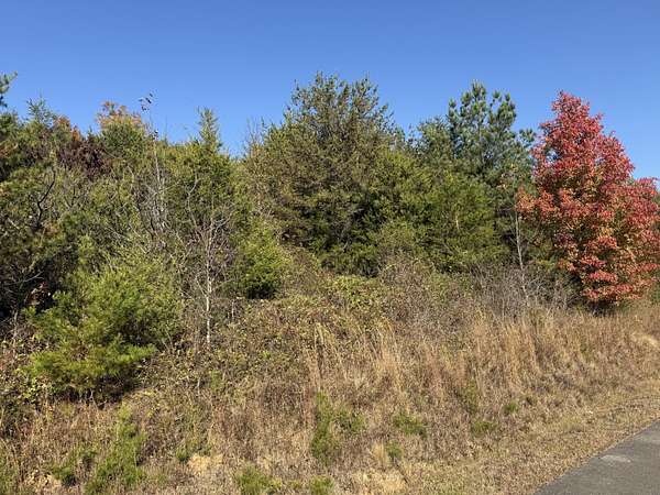 1 Acre of Residential Land for Sale in Newport, Tennessee