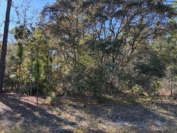 0.23 Acres of Residential Land for Sale in Citrus Springs, Florida