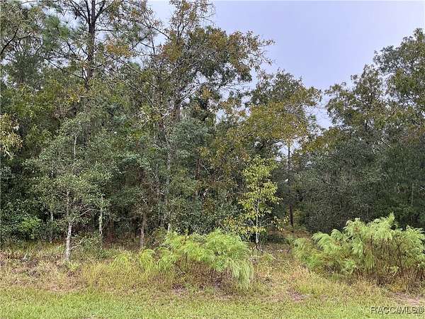 0.51 Acres of Residential Land for Sale in Inverness, Florida