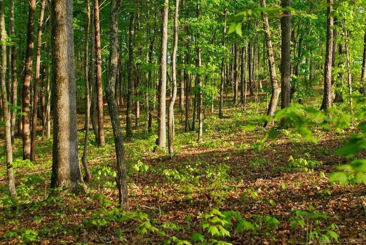 5.15 Acres of Residential Land for Sale in Shelby Township, Michigan