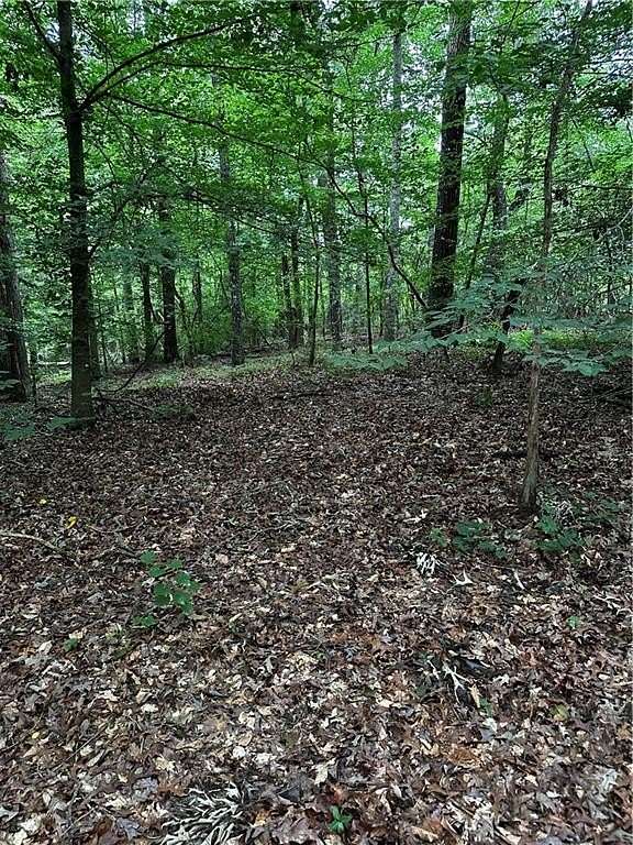 18.4 Acres of Land for Sale in Bowdon, Georgia