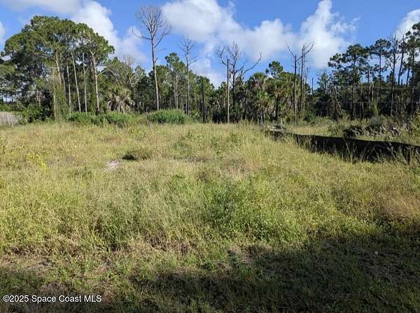 0.23 Acres of Residential Land for Sale in Palm Bay, Florida