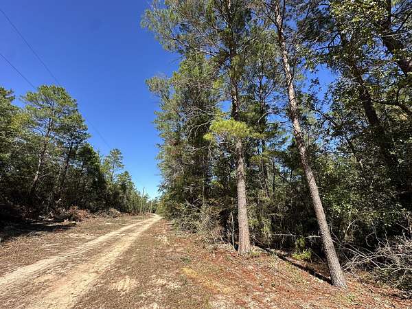 6 Acres of Residential Land for Sale in Crestview, Florida