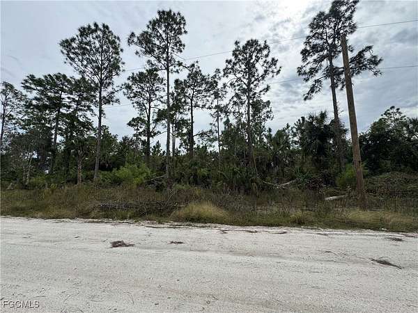 0.25 Acres of Residential Land for Sale in Lehigh Acres, Florida