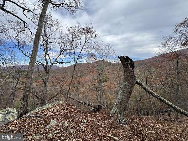 72 Acres of Recreational Land for Sale in Moorefield, West Virginia