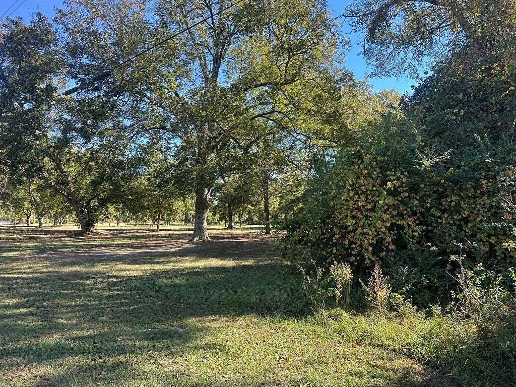 0.67 Acres of Residential Land for Sale in Coolidge, Georgia