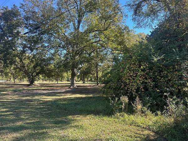 0.67 Acres of Residential Land for Sale in Coolidge, Georgia