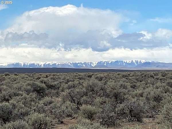 479 Acres of Land for Sale in Jordan Valley, Oregon