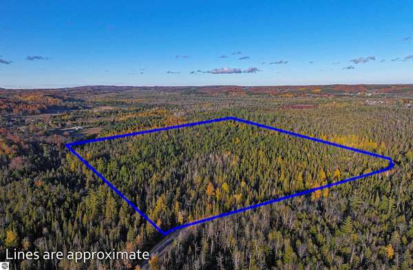 40 Acres of Recreational Land for Sale in Cedar, Michigan