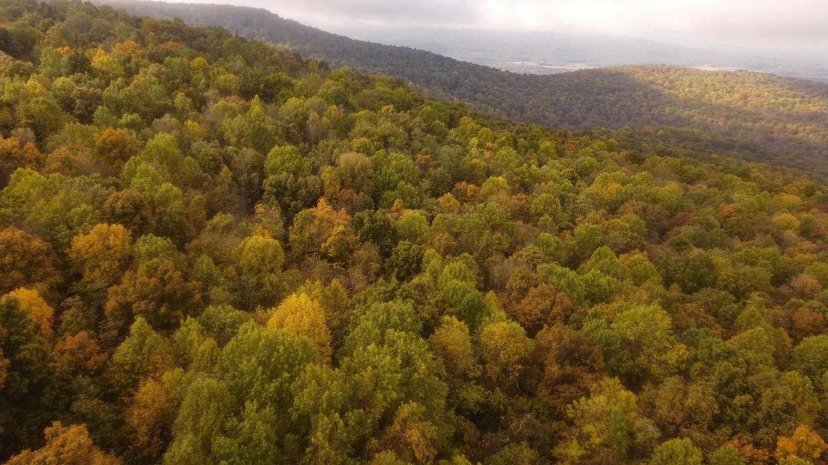 285 Acres of Recreational Land for Sale in Pelham, Tennessee