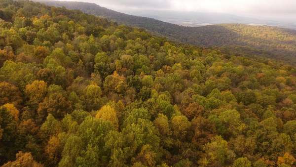 285 Acres of Recreational Land for Sale in Pelham, Tennessee