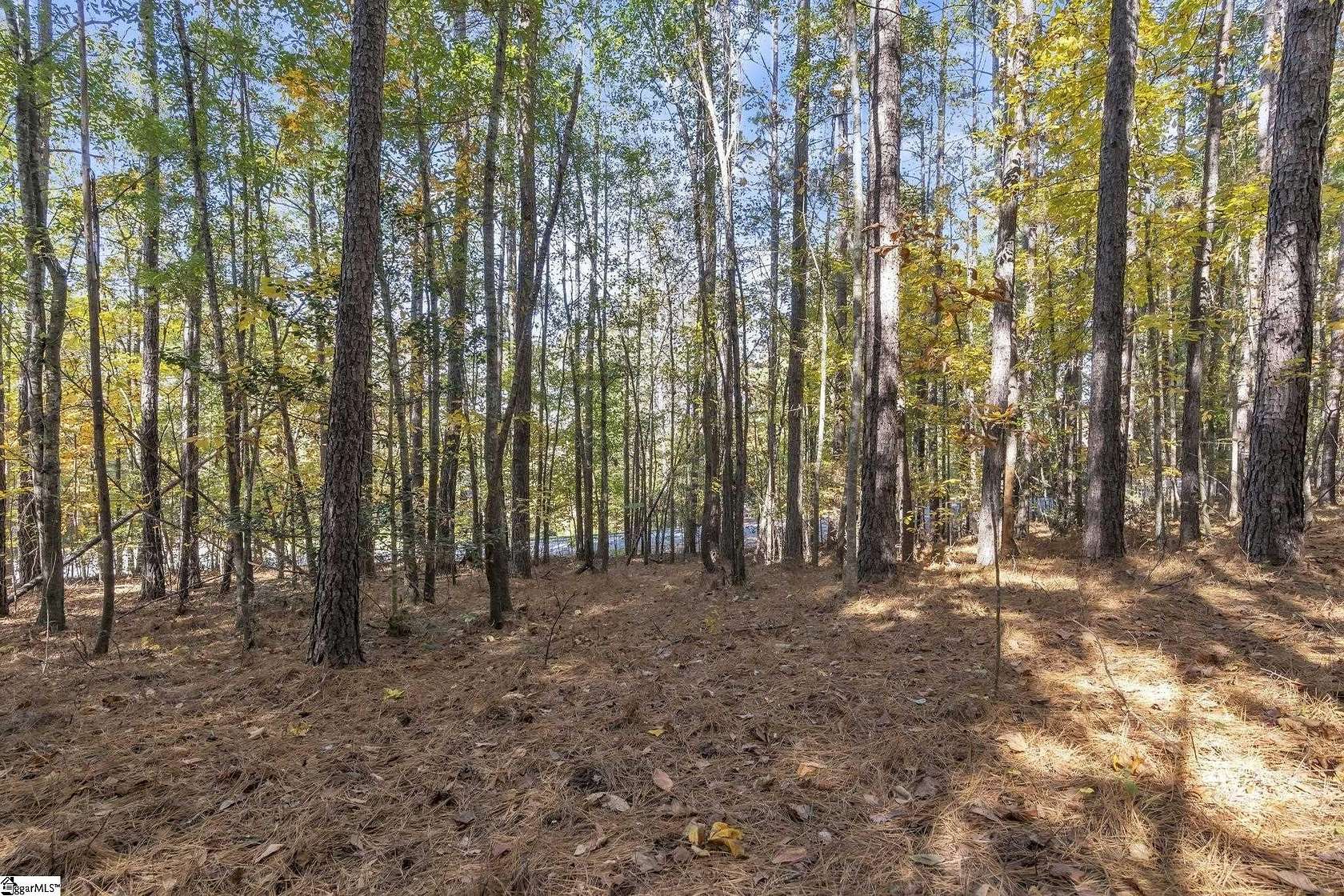 1.13 Acres of Residential Land for Sale in Seneca, South Carolina