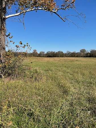 6.56 Acres of Residential Land for Sale in Shelbyville, Tennessee
