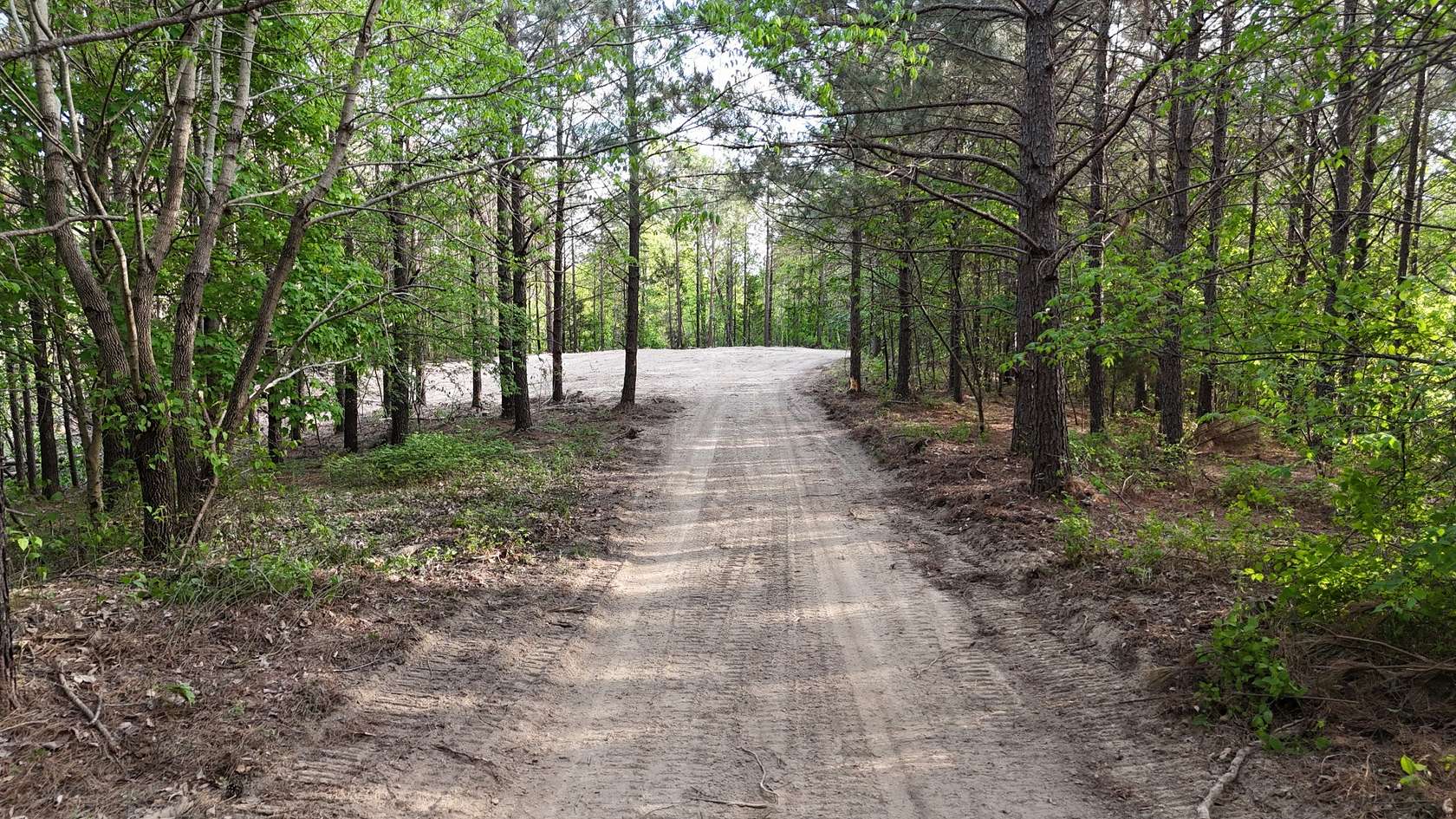 62 Acres of Recreational & Residential Land for Sale in Linden, Tennessee