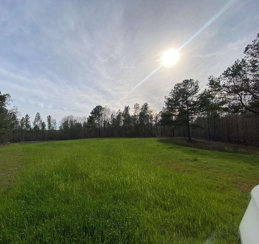 87 Acres of Recreational Land for Sale in Banks, Alabama