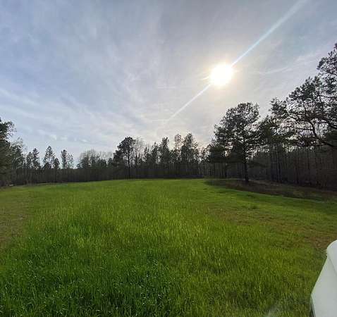 87 Acres of Recreational Land for Sale in Banks, Alabama