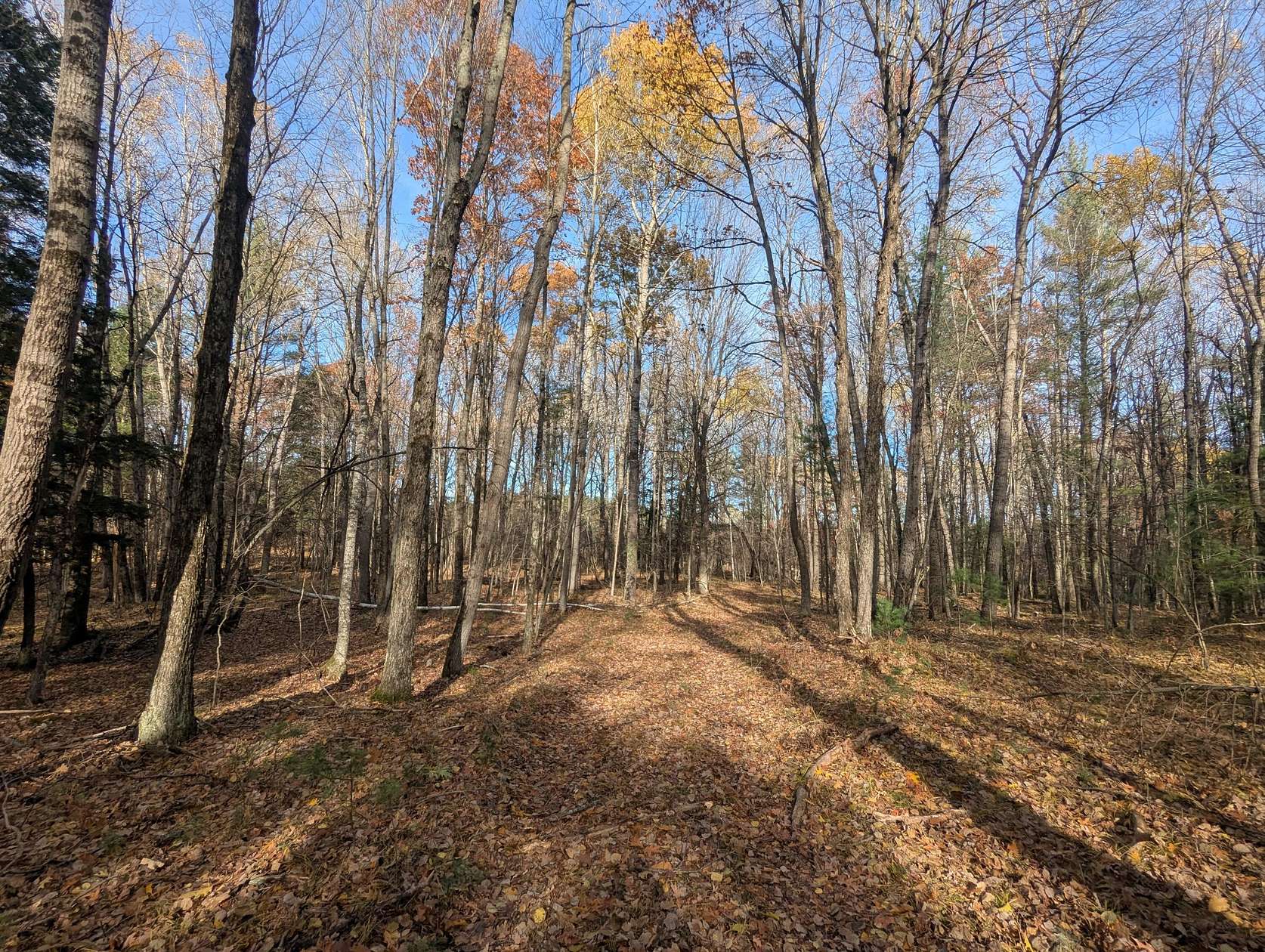 153 Acres of Recreational Land for Sale in Luther, Michigan