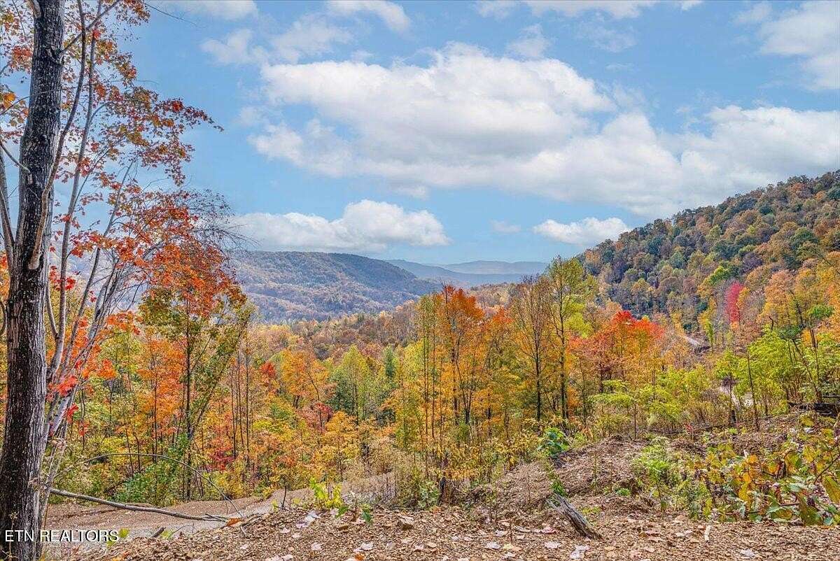 88.8 Acres of Recreational Land for Sale in Oneida, Tennessee