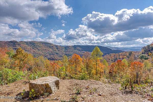 88.8 Acres of Recreational Land for Sale in Oneida, Tennessee