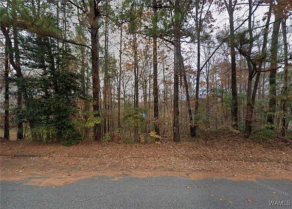 0 6 Acres of Residential Land for Sale in Tuscaloosa Alabama LandSearch