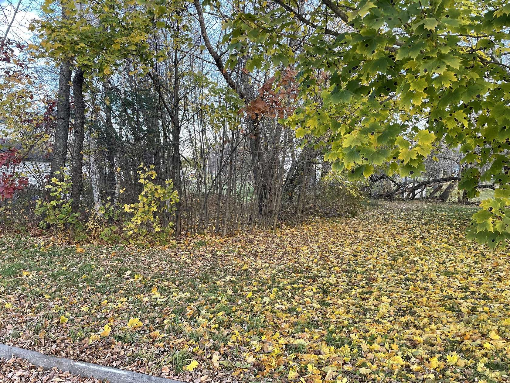 0.2 Acres of Residential Land for Sale in Pittsfield, Maine