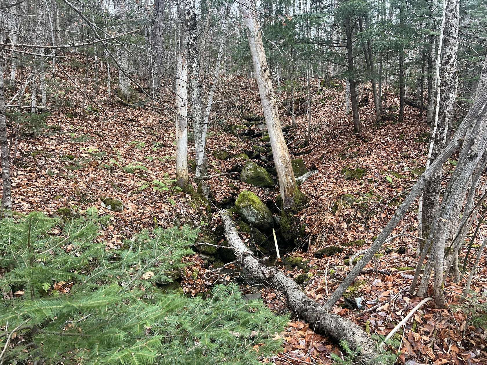 20 Acres of Land for Sale in Upton, Maine