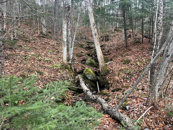 20 Acres of Land for Sale in Upton, Maine