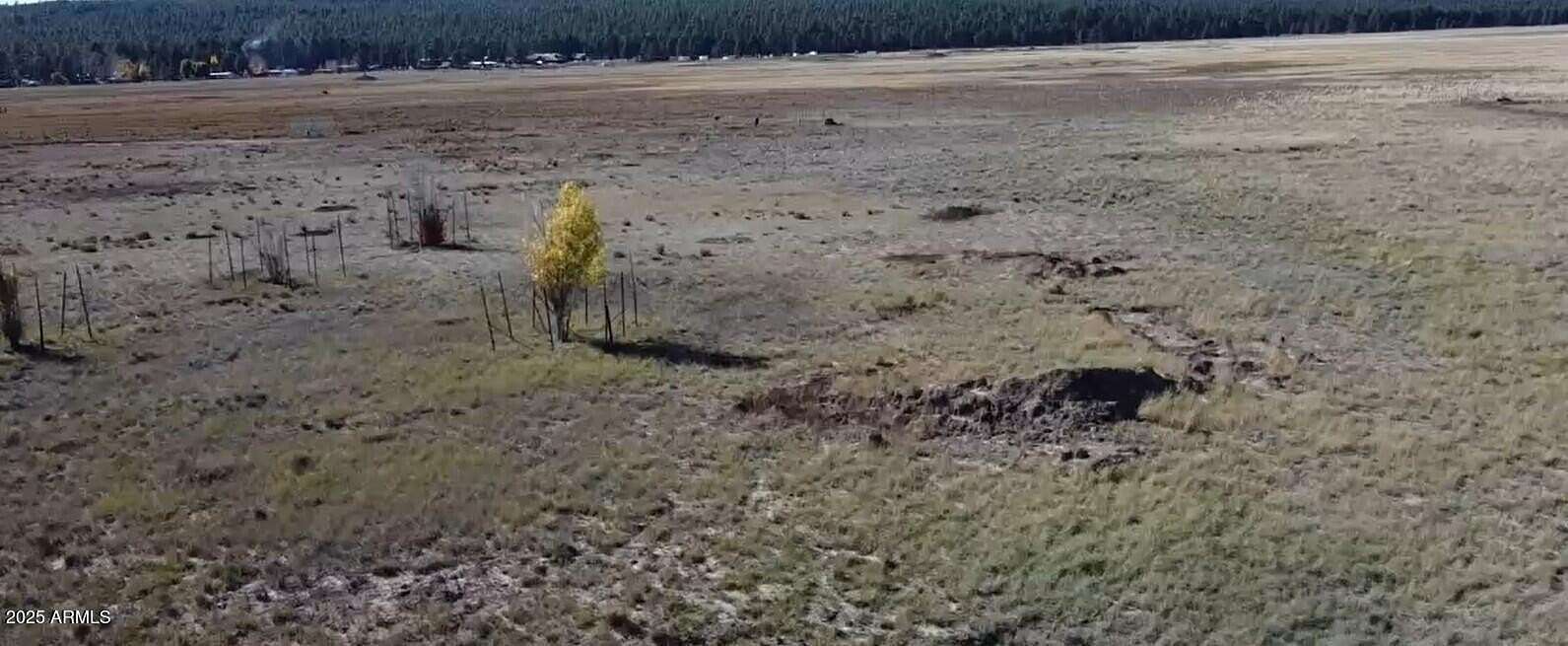 2.26 Acres of Residential Land for Sale in Mormon Lake, Arizona