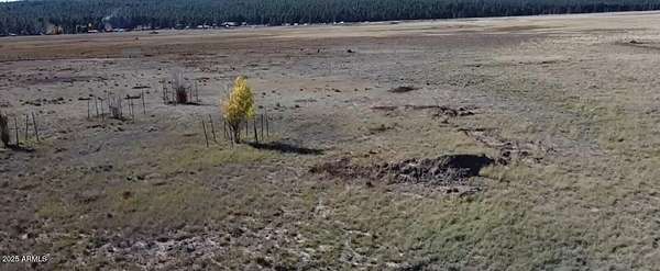 2.26 Acres of Residential Land for Sale in Mormon Lake, Arizona