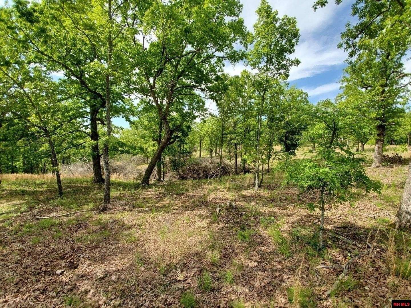 15 Acres of Land for Sale in Gepp, Arkansas