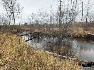 8.18 Acres of Land for Sale in Baldwin, Michigan