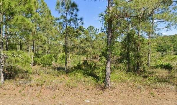 0.5 Acres of Residential Land for Sale in Lehigh Acres, Florida